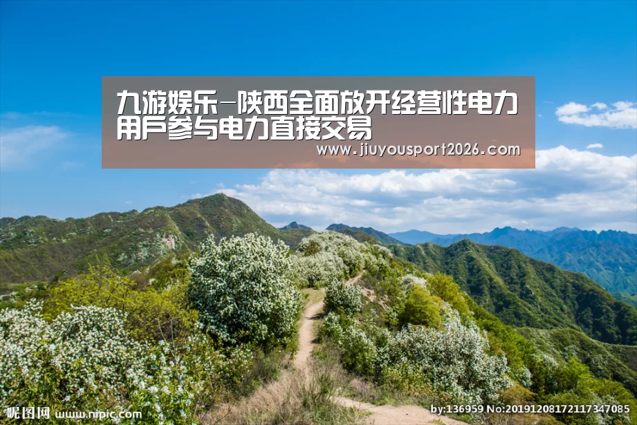九游娱乐-陕西全面放开经营性电力用户参与电力直接交易(图2) 九游娱乐