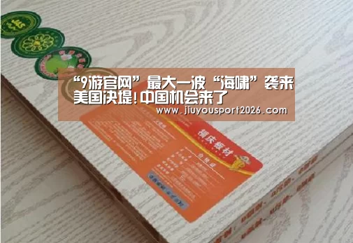 “9游官网”最大一波“海啸”袭来 美国决堤!中国机会来了(图1) 九游娱乐官网