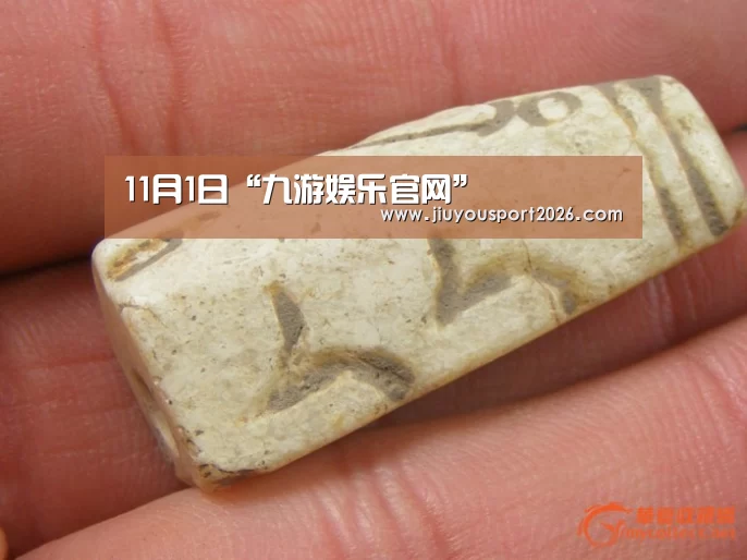 11月1日“九游娱乐官网”(图1) 九游娱乐官网