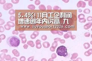 5.4%!11月工企利润增速创年内次高_九游娱乐(图1) 九游娱乐