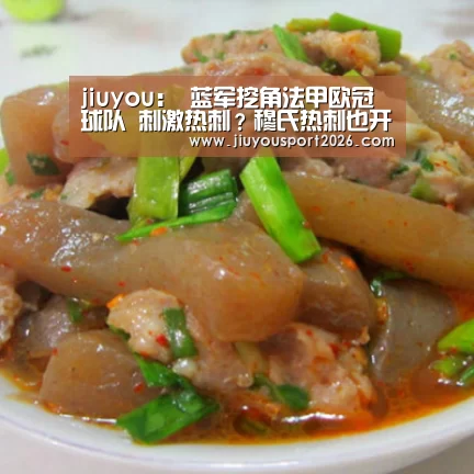 jiuyou:
蓝军挖角法甲欧冠球队 刺激热刺?穆氏热刺也开始了豪购(图3) 九游娱乐官网