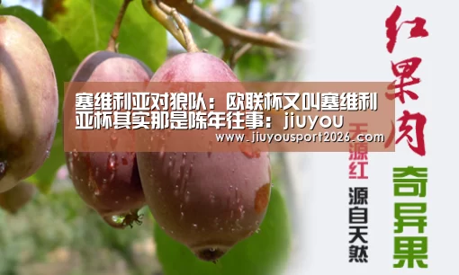 塞维利亚对狼队:欧联杯又叫塞维利亚杯其实那是陈年往事:jiuyou(图2) 九游娱乐