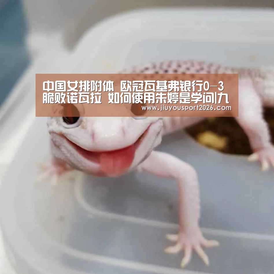 九游娱乐官网