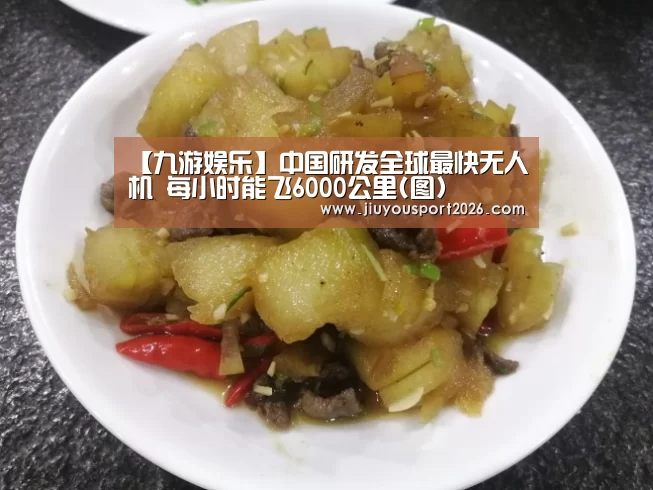 【九游娱乐】中国研发全球最快无人机 每小时能飞6000公里(图)(图1) 【九游娱乐】中国研发全球最快无人机 每小时能飞6000公里(图)(图1)