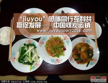 ‘jiuyou’砥砺同行互利共赢促发展——中国煤炭运销协会特约评论(图2) 9游官网