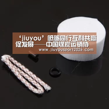 ‘jiuyou’砥砺同行互利共赢促发展——中国煤炭运销协会特约评论(图1) 9游官网