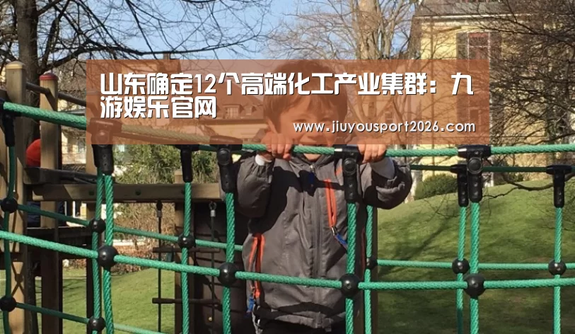 山东确定12个高端化工产业集群:九游娱乐官网(图2) 9游官网