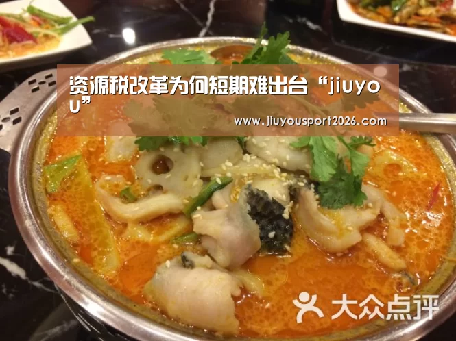 资源税改革为何短期难出台“jiuyou”(图2) 九游娱乐